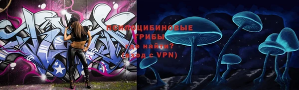 стаф Алексеевка