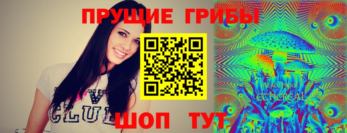 Псилоцибиновые грибы GOLDEN TEACHER Лобня