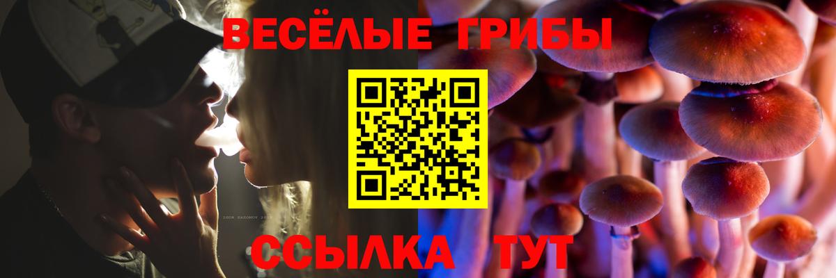 Галлюциногенные грибы Magic Shrooms  Вход с VPN  Галлюциногенные грибы Psilocybe  Лобня 